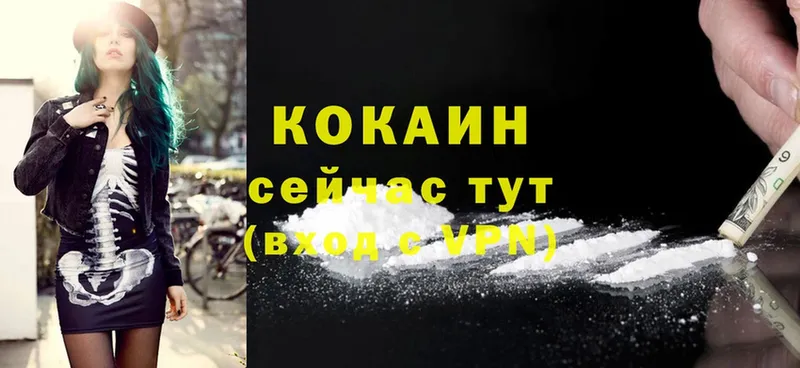 мориарти состав  Бологое  Cocaine Боливия 