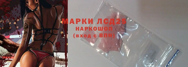 сатива Аксай